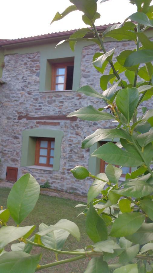 Casa Rural La Pumarada De Limes カンガス・デル・ナルセア エクステリア 写真